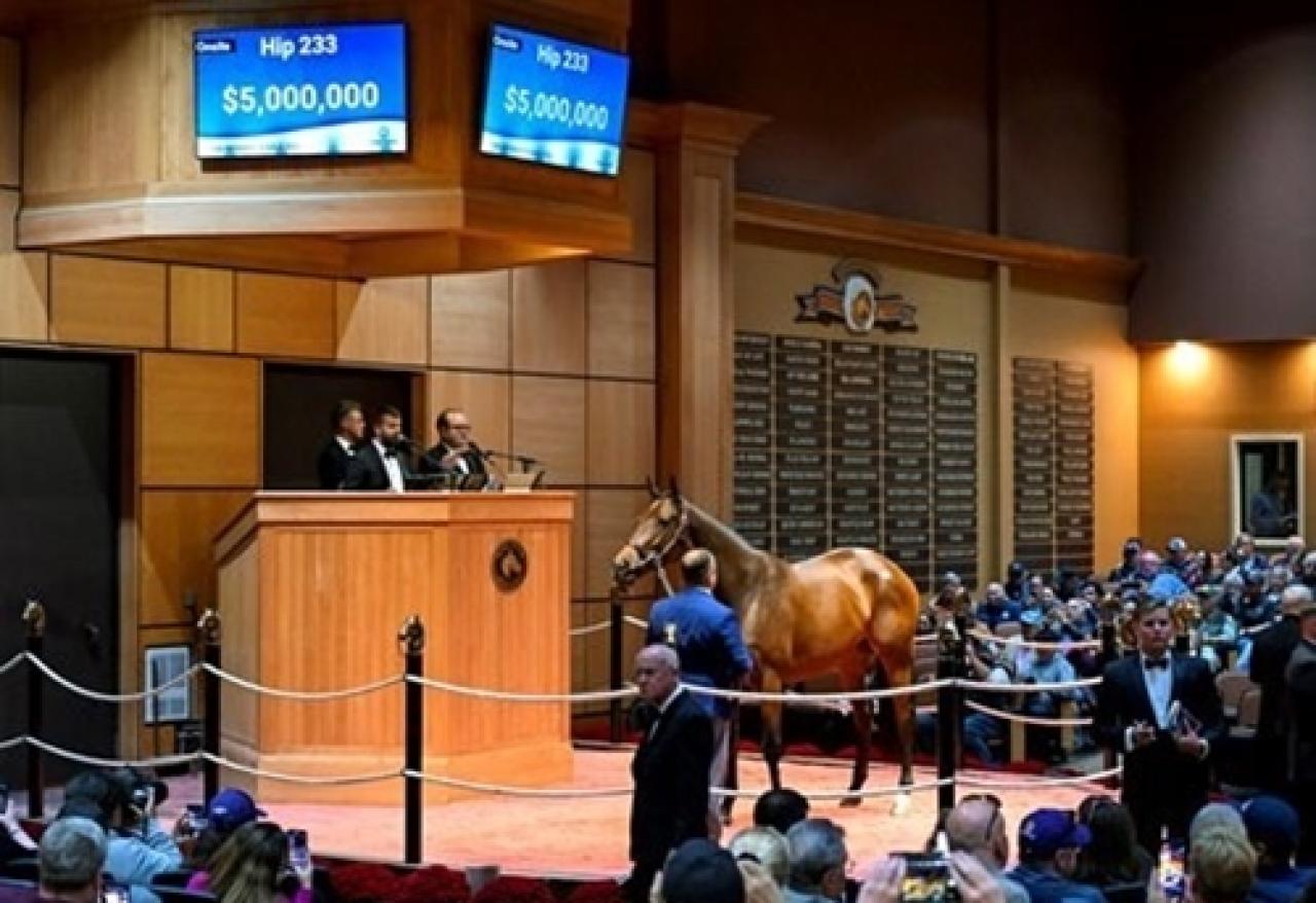 Daredevil’ın kızı Shedaresthedevil 5 Milyon Dolar’a alıcı buldu