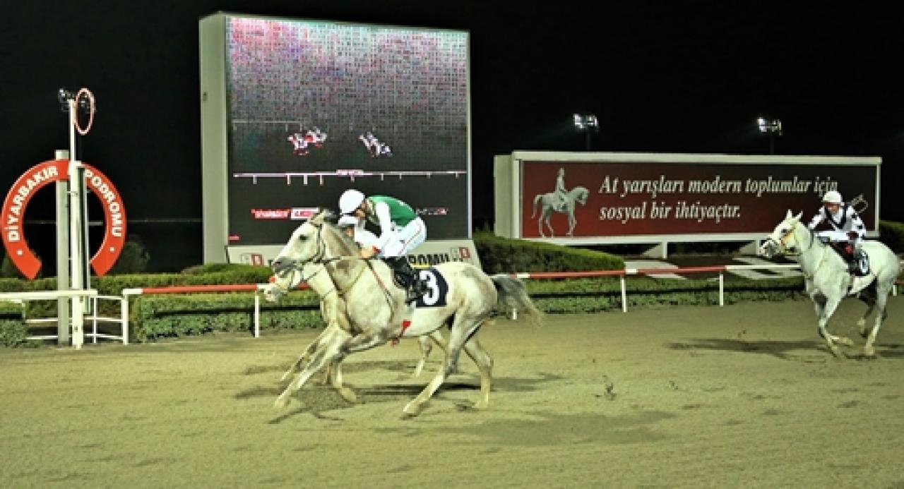 Dicle Üniversitesi Veteriner Fakültesi Koşusu'nu Oğlumrecep kazandı