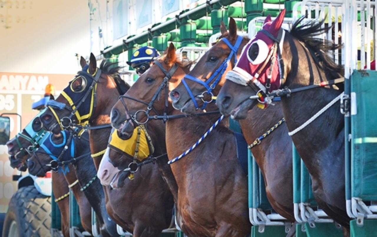 Yürüyen Köşk Koşusu'nu Dame Time kazandı