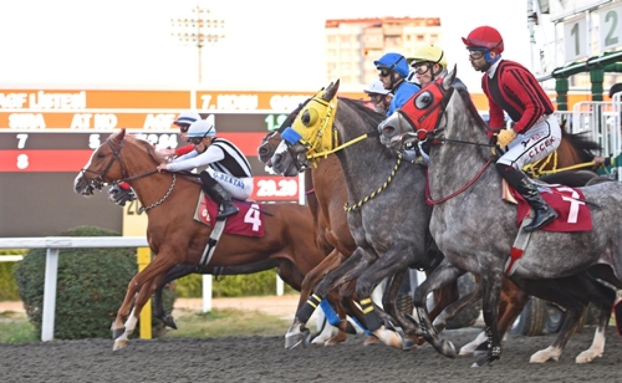 M. Fethi Tulgar Koşusu'nda kazanan Safiha oldu