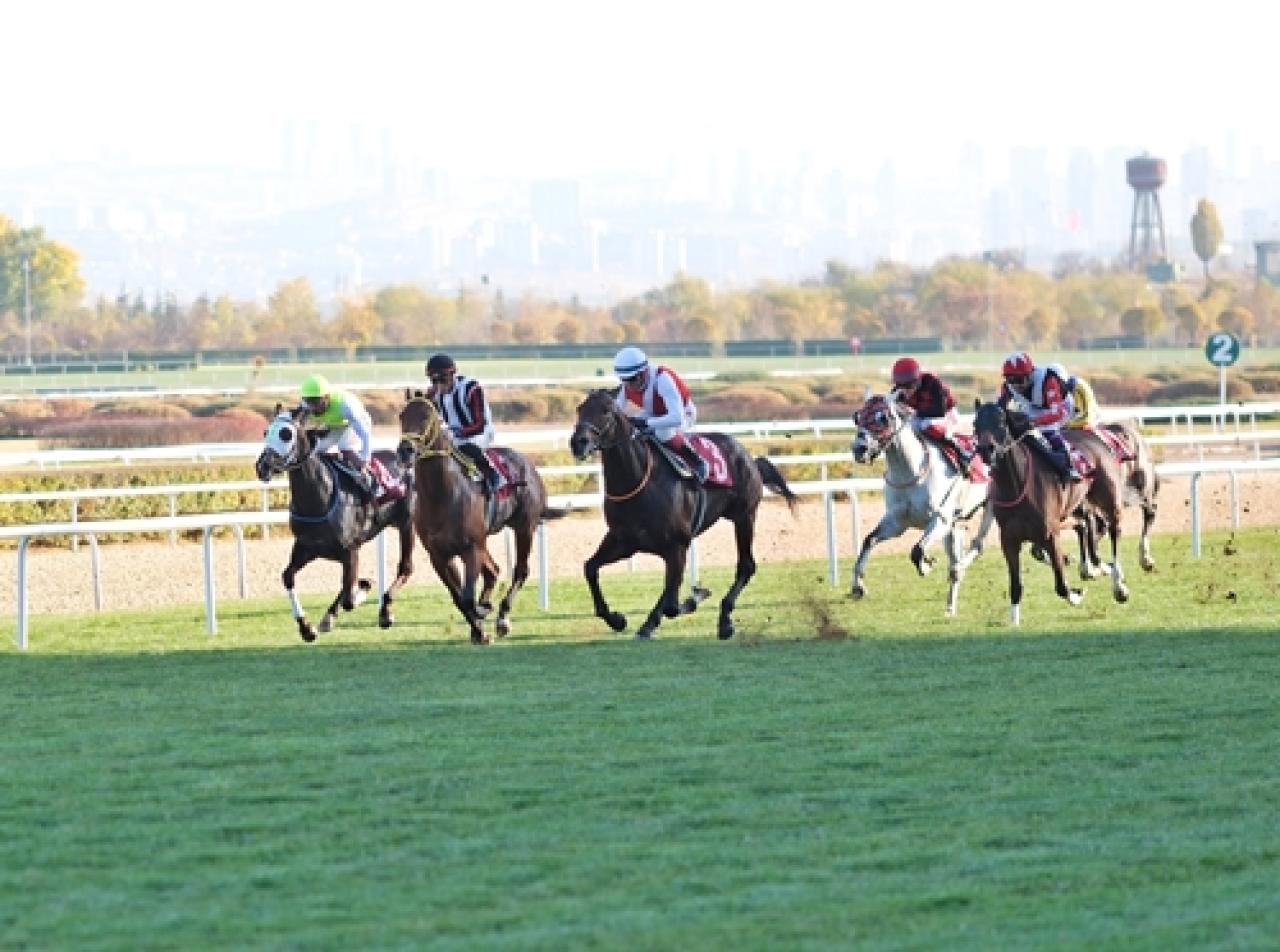 TEMA Vakfı Toprak Yaşamdır Koşusu'nu Tractor kazandı