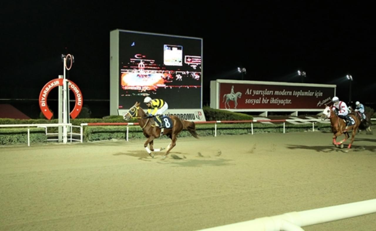 Diyarbakır Bölgesi Veteriner Hekimler Odası Koşusu’nu Nur Salkımı kazandı