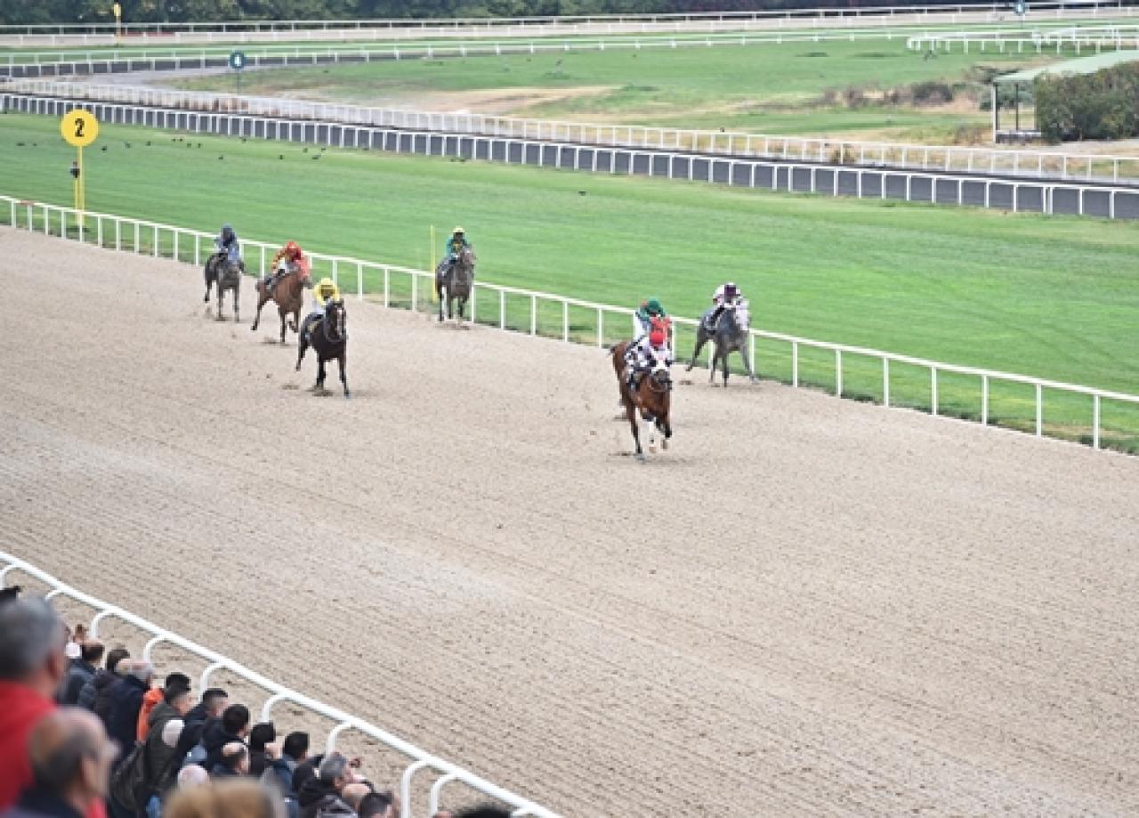 İzmir'de Sonbahar - Kış yarış sezonu başladı