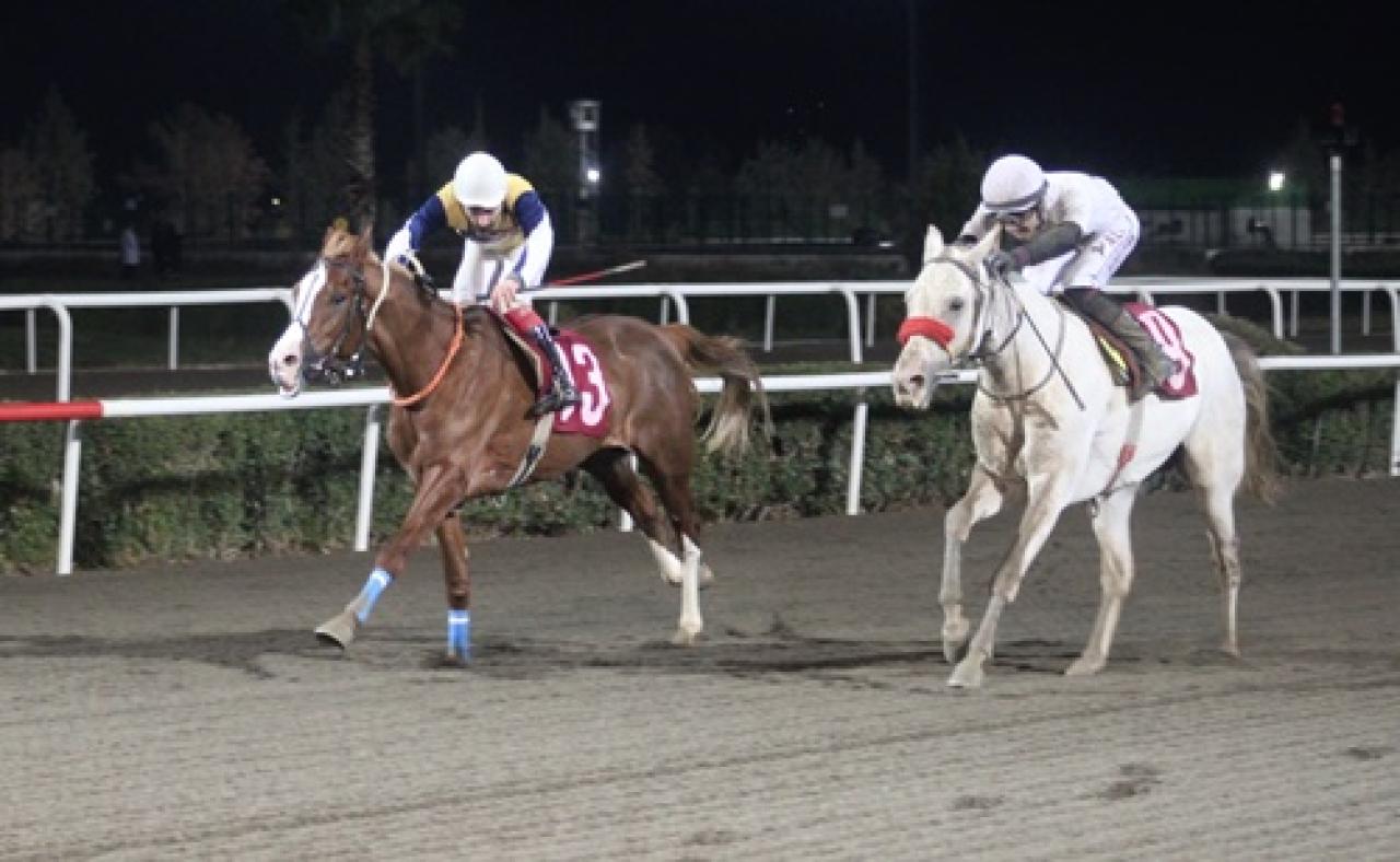 Hilvan Belediye Başkanlığı Koşusu'nu Hilvanlım kazandı