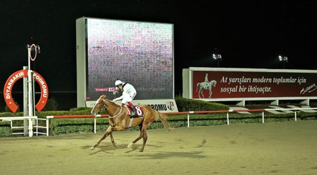 Diyarbakır Büyükşehir Belediye Başkanlığı Koşusu'nu Dancing Adder kazandı