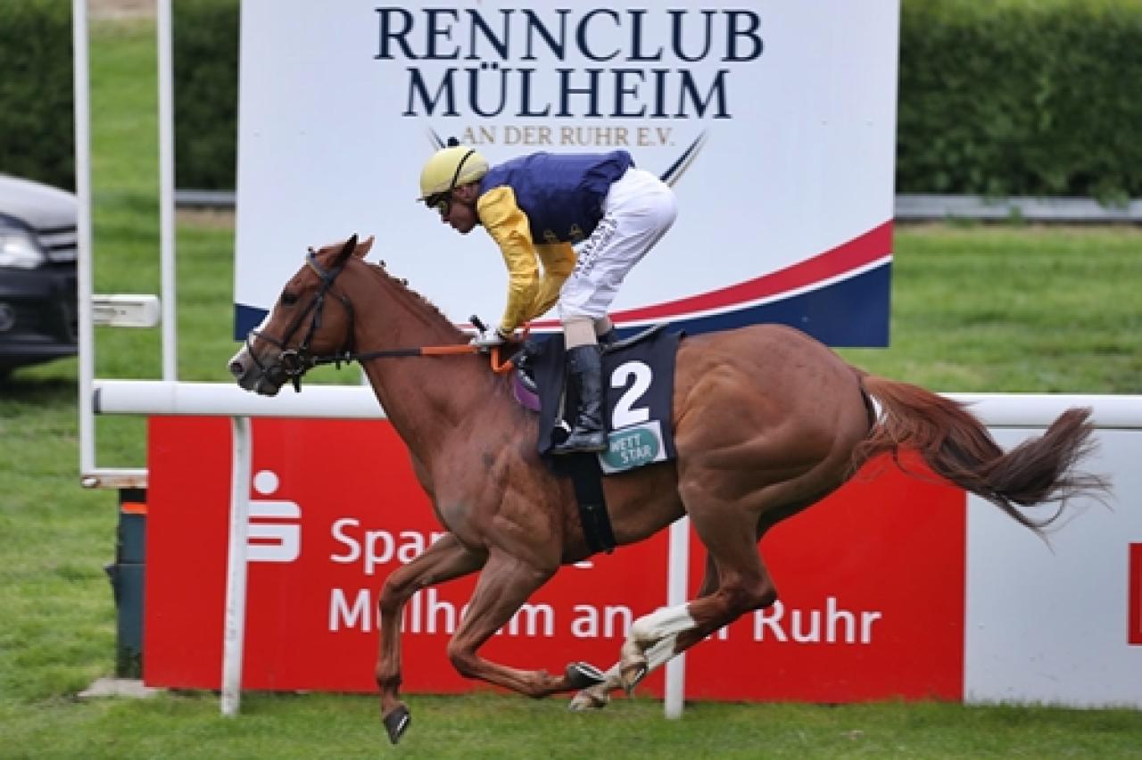 27 Kasım Pazar Almanya Mülheim yarış programı ve erken bahis oranları belli oldu