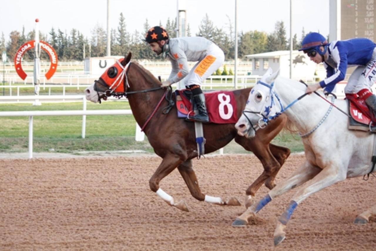 Pozantı Belediye Başkanlığı Koşusu’nu Zafer Meydanı kazandı