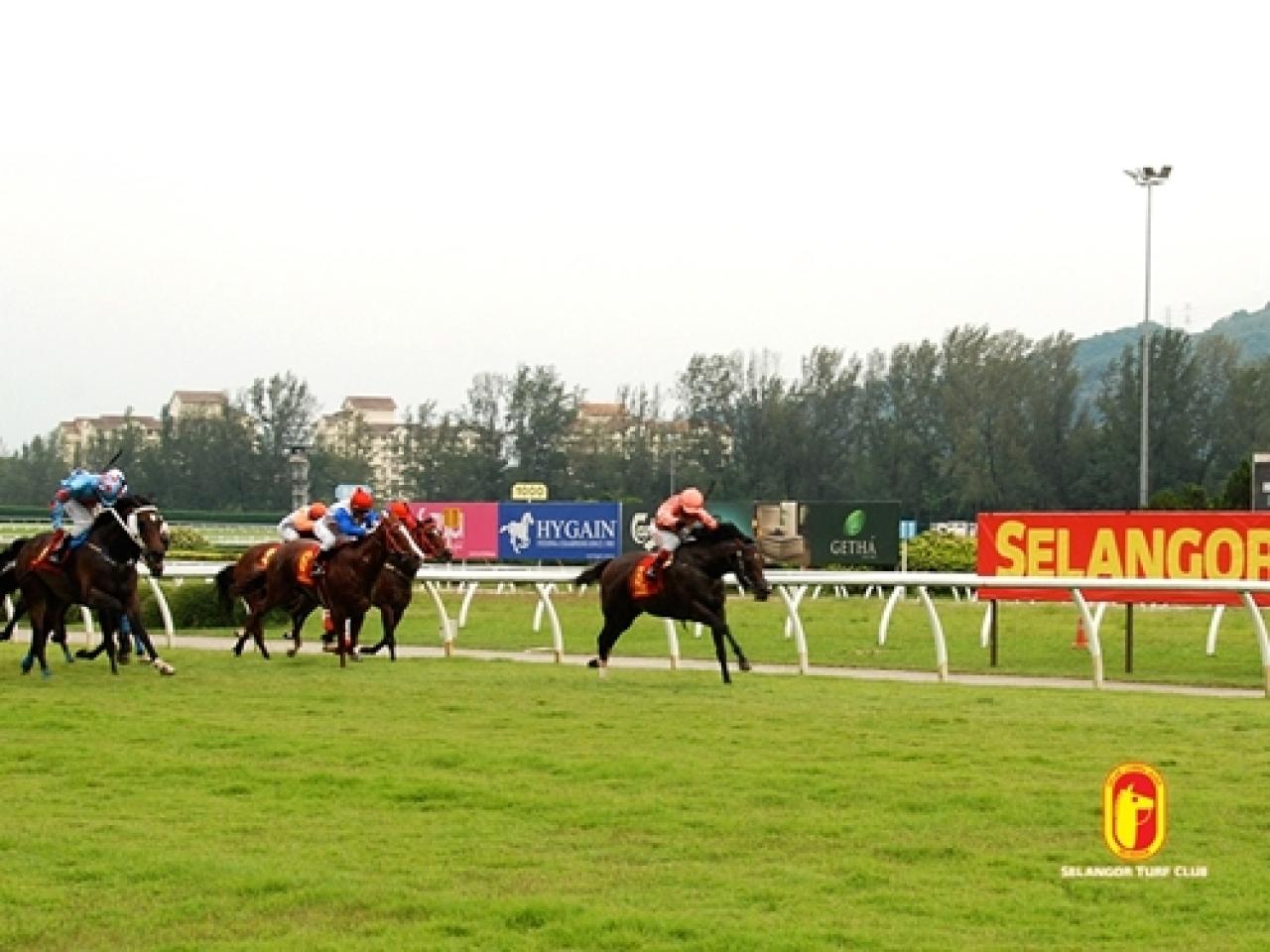 11 Aralık Pazar Malezya Selangor yarış programı ve erken bahis oranları belli oldu