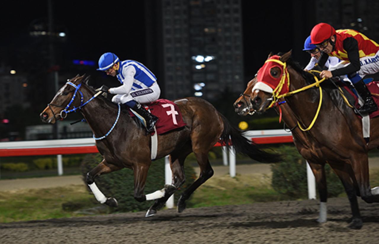 Basri Çiftkurt Koşusu'nu Horror kazandı