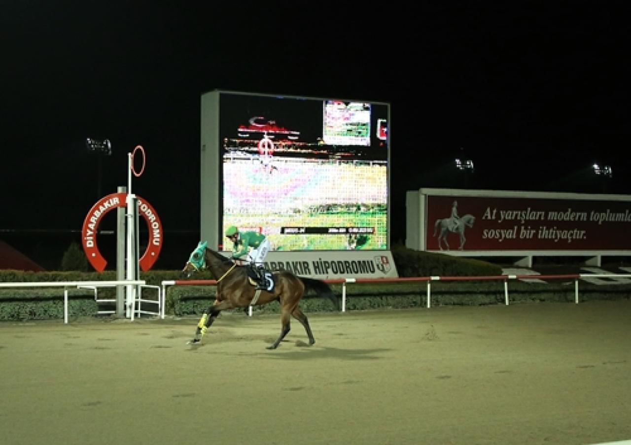 Bismil Kaymakamlığı Koşusu'nu Tanerhan kazandı