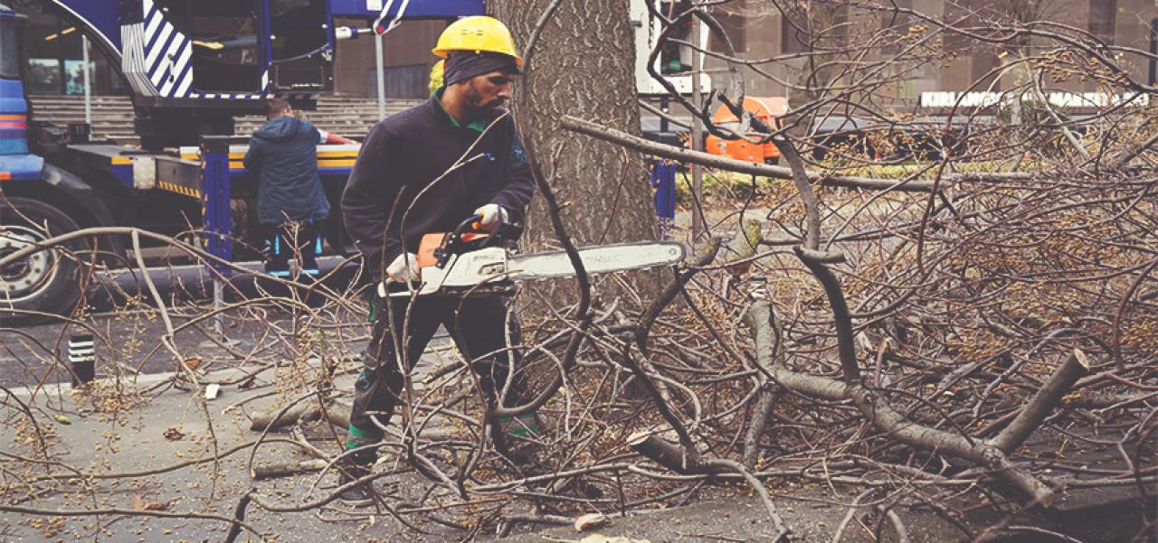 BUDAMA VE AĞAÇLANDIRMA ÇALIŞMALARI DEVAM EDİYOR
