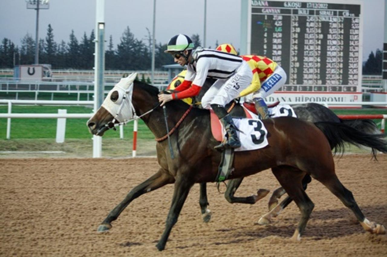 Adana'da düzenlenen G3 koşuyu Katıoğlu kazandı