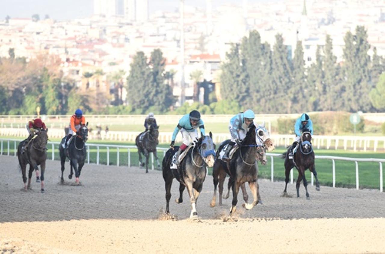 Kubilay Koşusu'nu üst üste üçüncü kez King Man Go kazandı