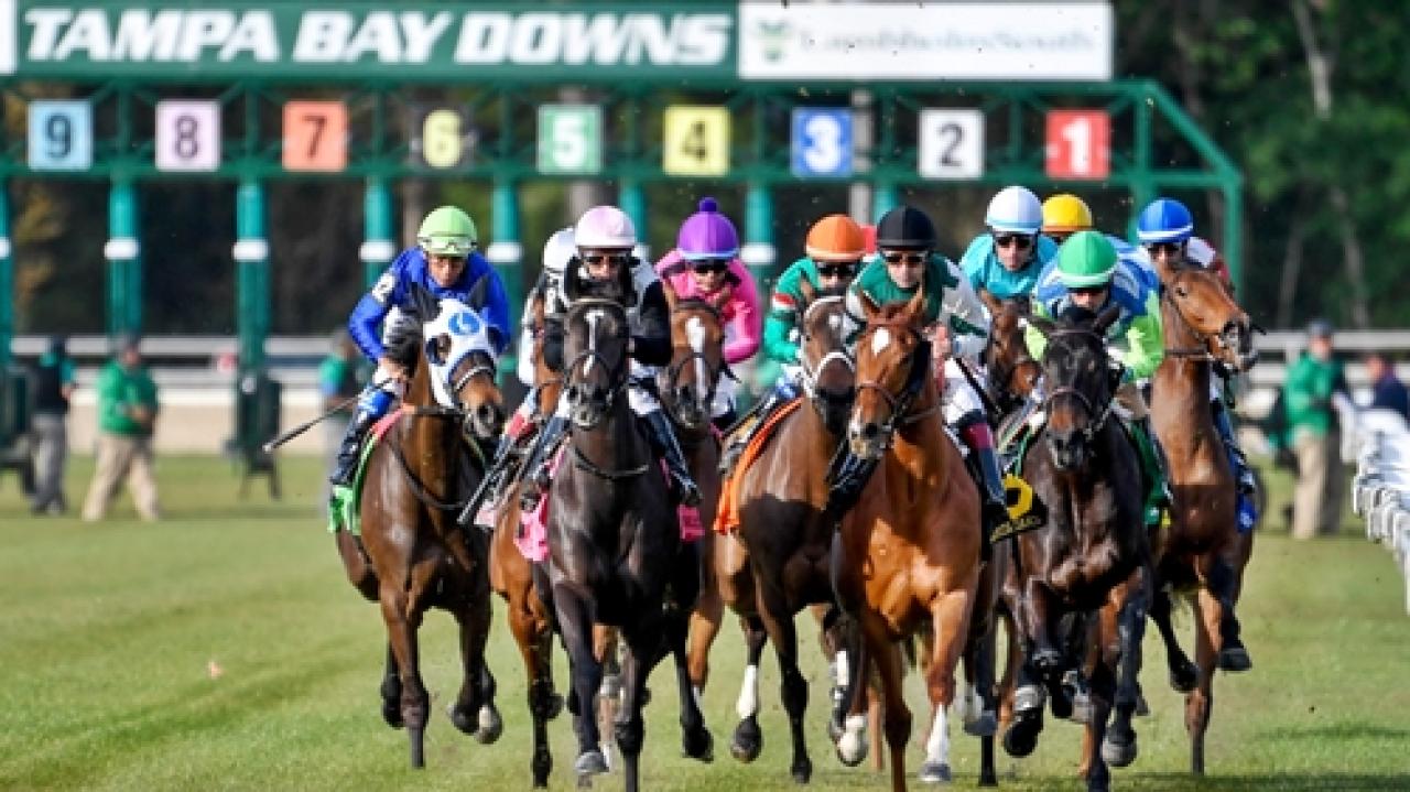 21 Aralık Çarşamba Tampa Bay Downs yarış programı ve erken bahis oranları belli oldu