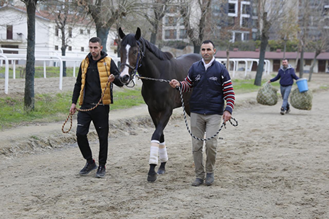 Aegean Finale, Cosmic Kid ve Final Dance Dubai’ye uçtu