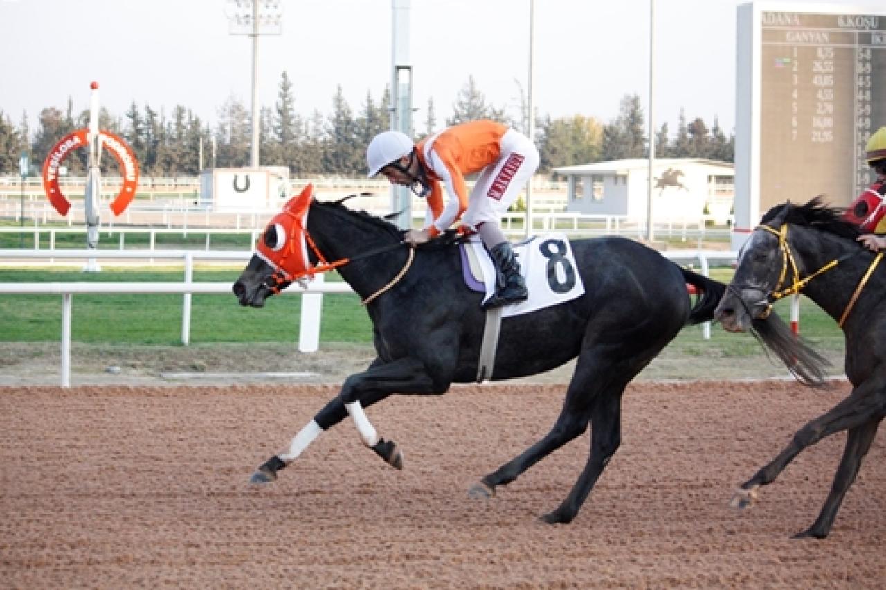 Adana’da düzenlenen A3 koşuyu General Briella kazandı