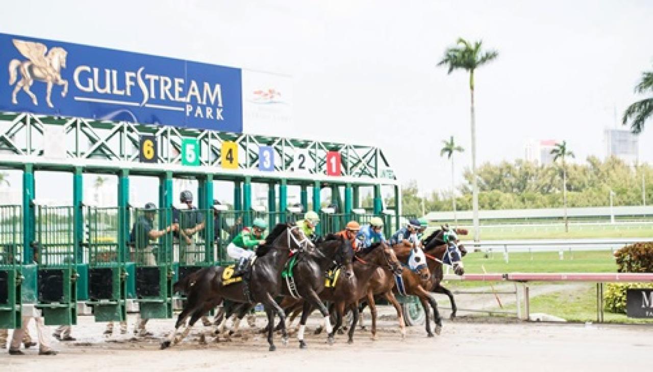 30 Aralık Cuma Gulfstream Park yarış programı ve erken bahis oranları belli oldu