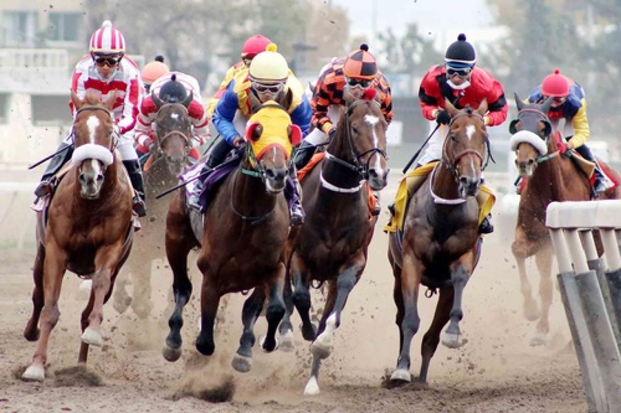31 Aralık Cumartesi Chile Hipodromo yarış programı ve erken bahis oranları belli oldu