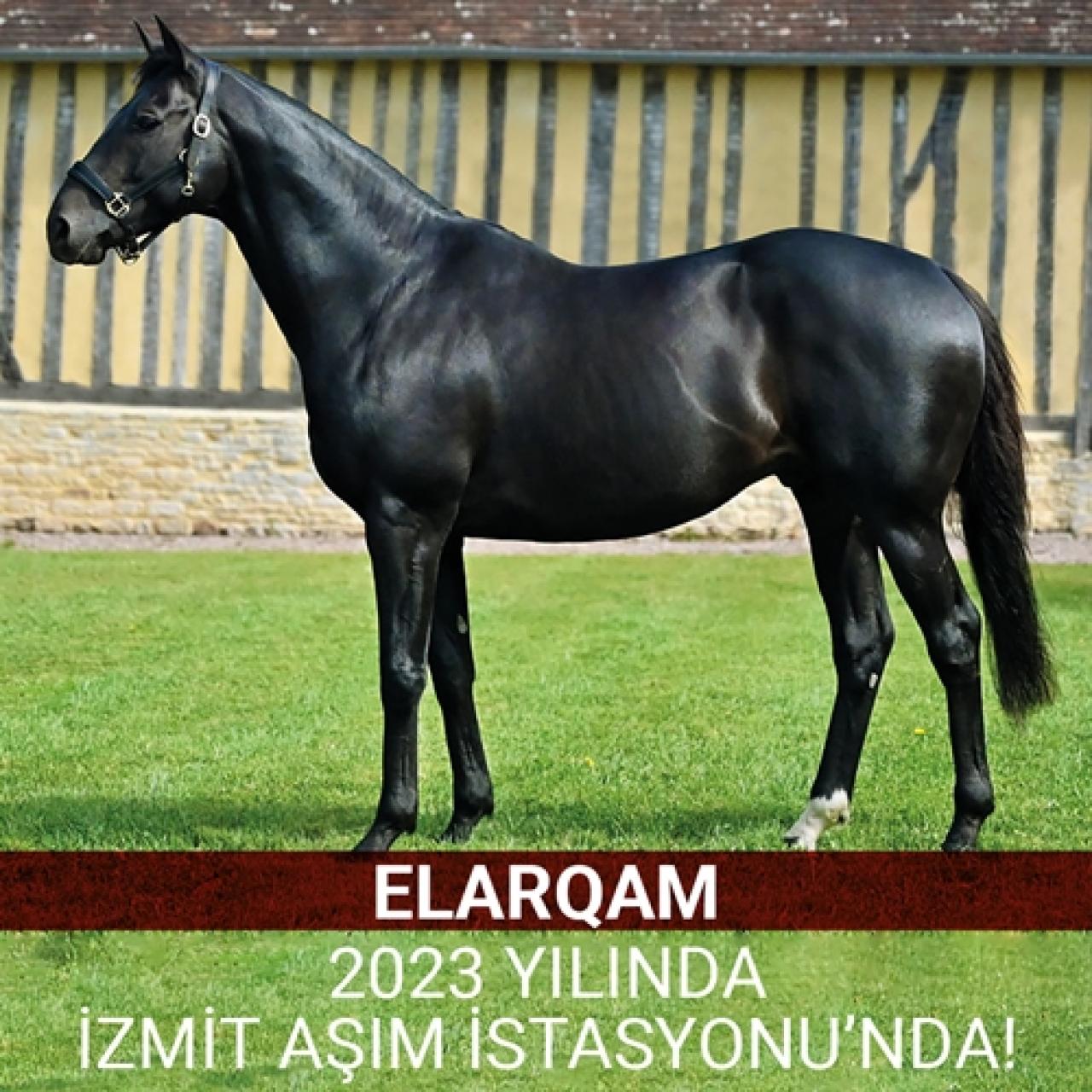 ELARQAM 2023 yılında İzmit Aşım İstasyonu’nda!