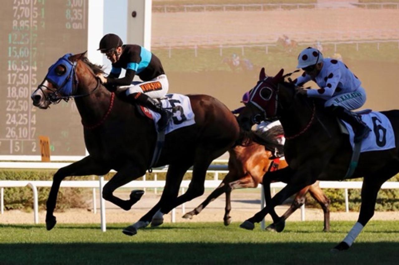 2023 Dubai World Cup Karnavalı’nda Final Dance ve Cosmic Kid piste çıkıyor 