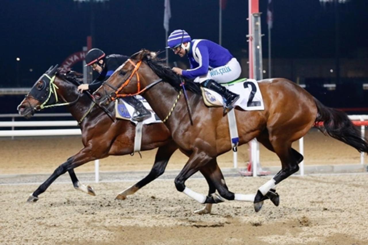 Antalya’da G3 koşu Çakırdağlı’nın galibiyetiyle sonuçlandı