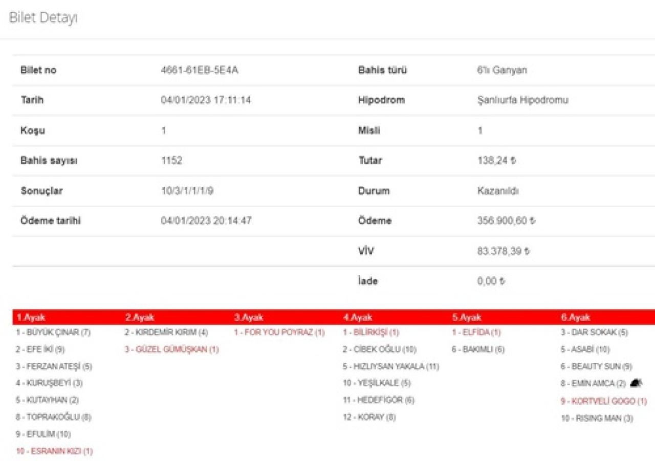 Şanlıurfa’da 1. 6’lı Ganyan’ı 2 kişi bildi