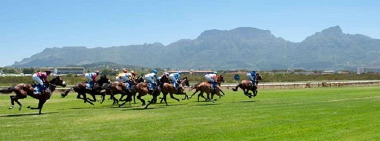 7 Ocak Cumartesi Kenilworth yarış programı ve erken bahis oranları belli oldu