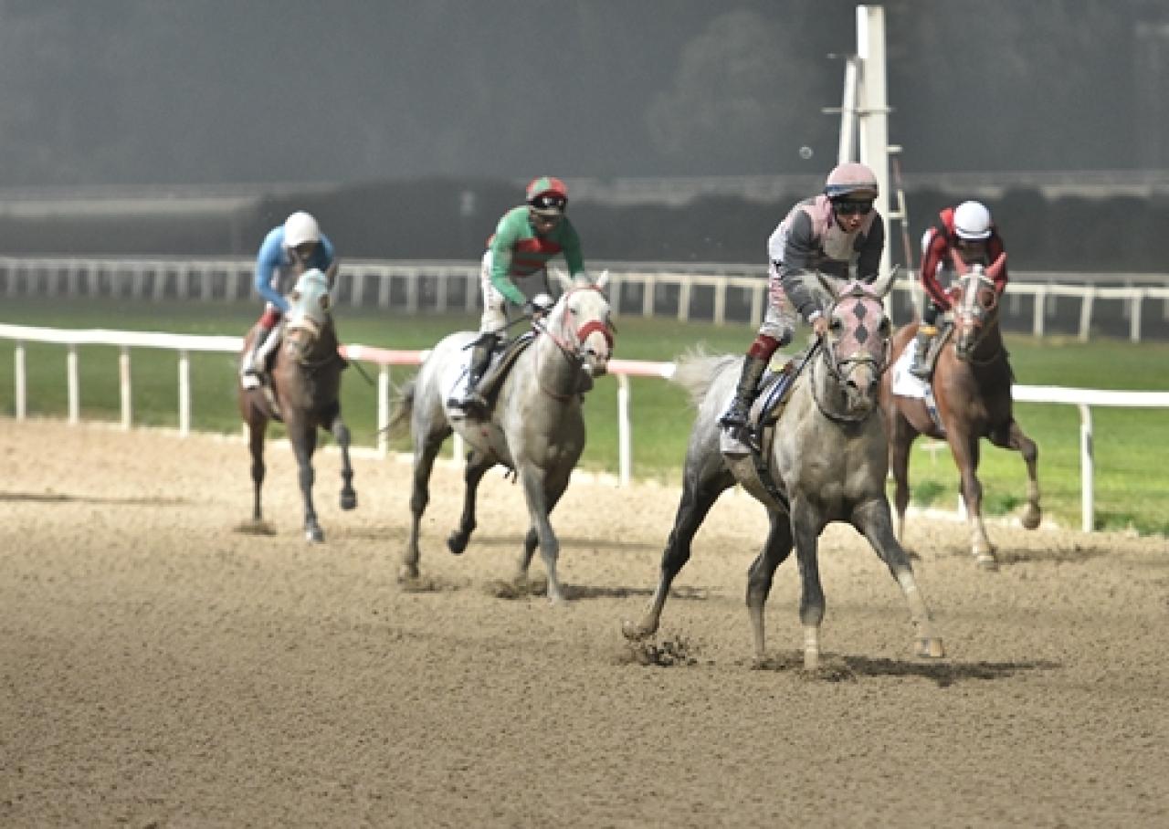 Babasaad Koşusu'nu Özbilden kazandı