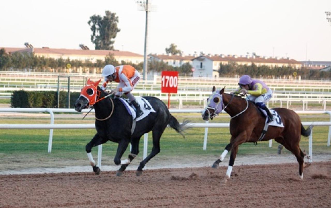 Adana'da düzenlenen A3 koşuyu General Briella kazandı