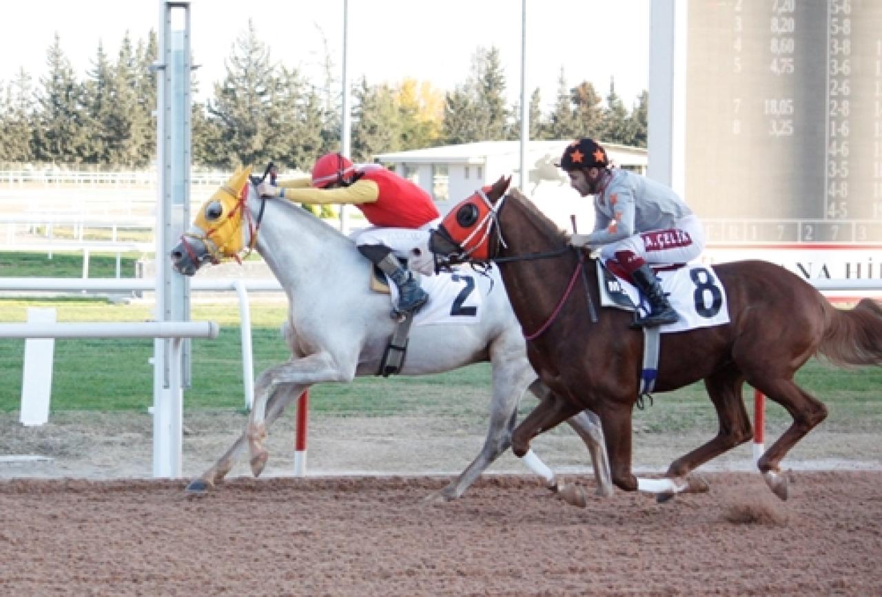 Adana Koşusu’nu Mahzunkral kazandı