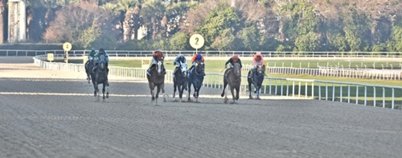 Güzel İzmir Koşusu'nu Wardenclyffe kazandı