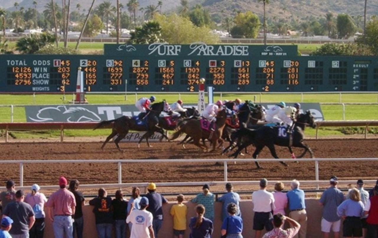 9 Ocak Pazartesi ABD Turf Paradise yarış programı ve erken bahis oranları belli oldu