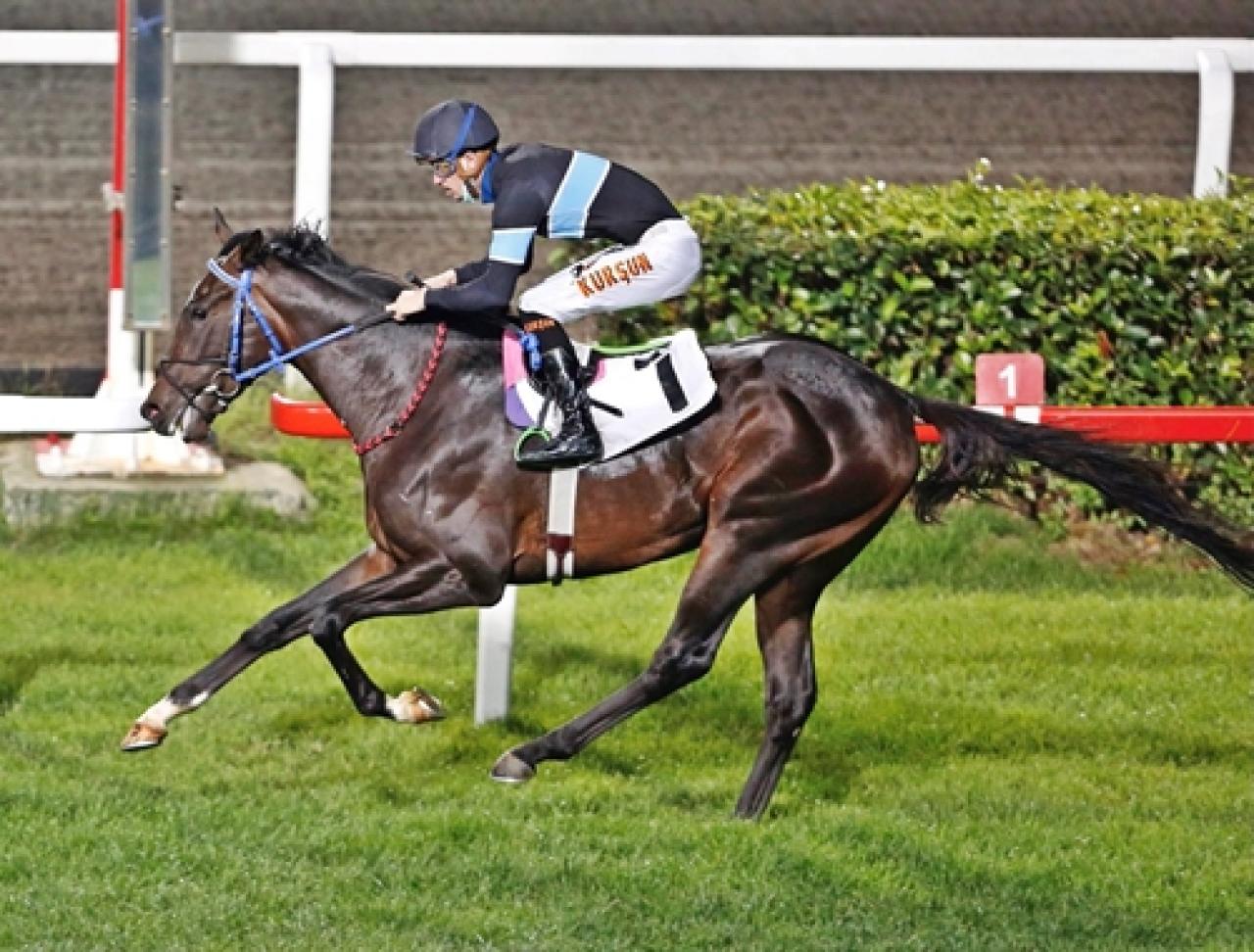 2023 Dubai World Cup Karnavalı’nda Aegean Finale’ın ilk yarış kaydı yapıldı