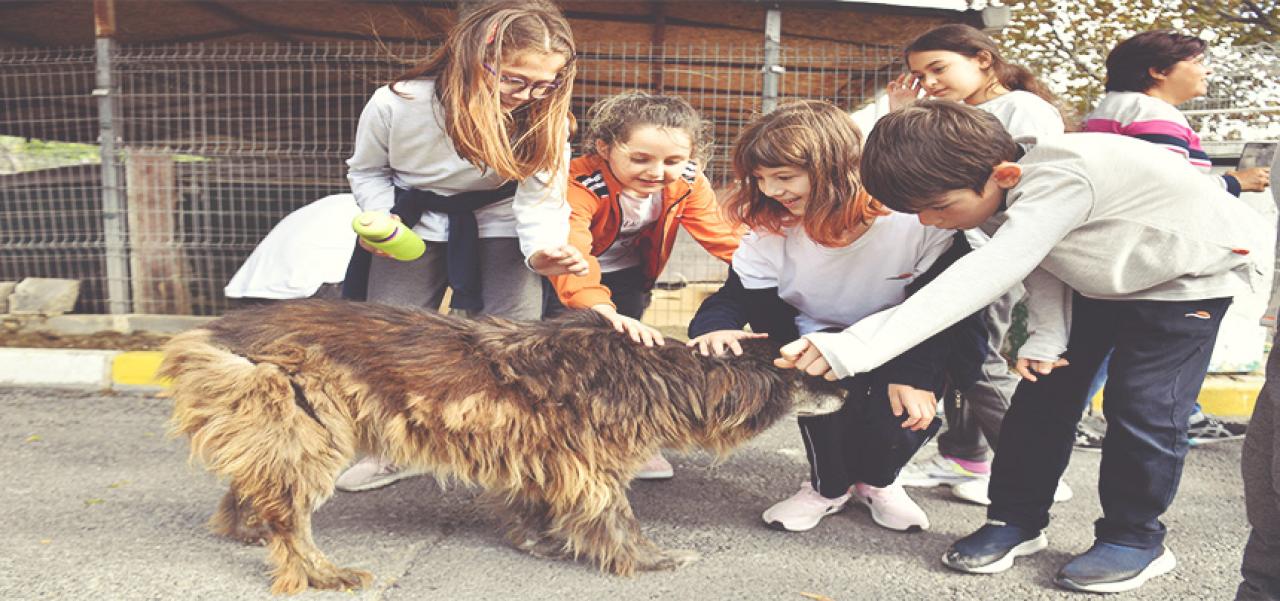 BEYLİKDÜZÜ’NDE PATİLİ DOSTLAR MUTLU