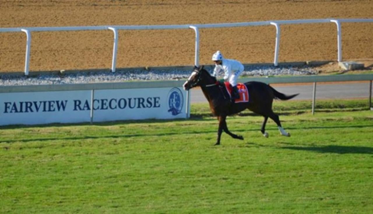 13 Ocak Cuma Güney Afrika Fairview yarış programı ve erken bahis oranları belli oldu