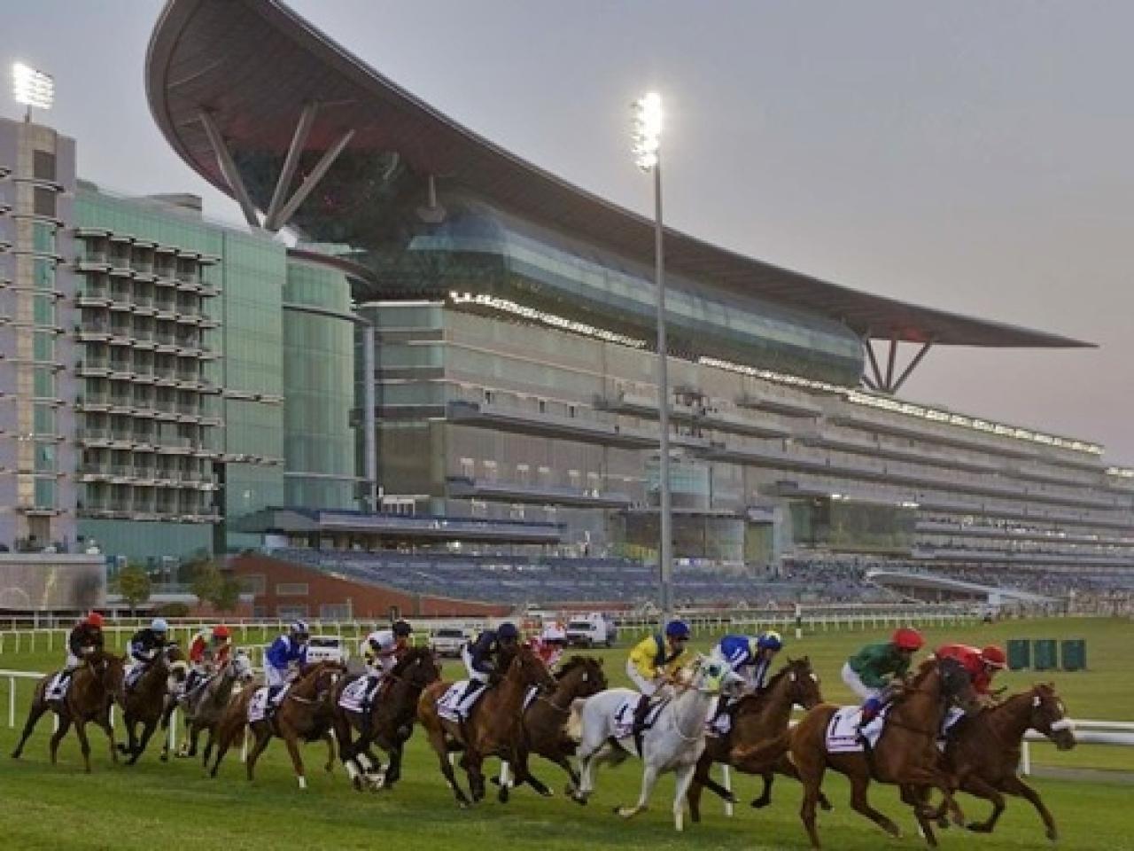 13 Ocak Cuma Dubai Meydan yarış programı ve erken bahis oranları belli oldu