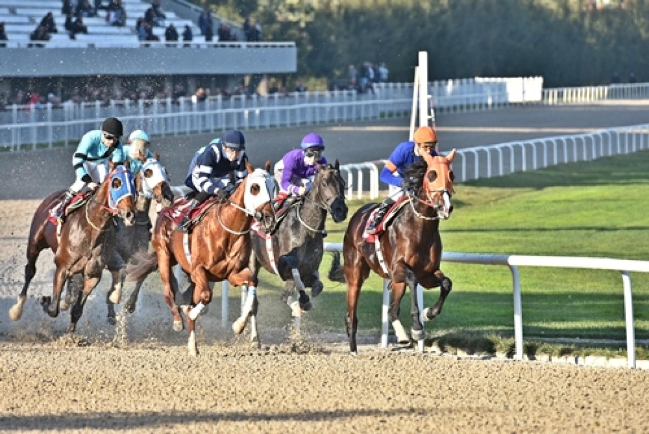 Francesco Sponza Koşusu'nu Junior Çınar kazandı