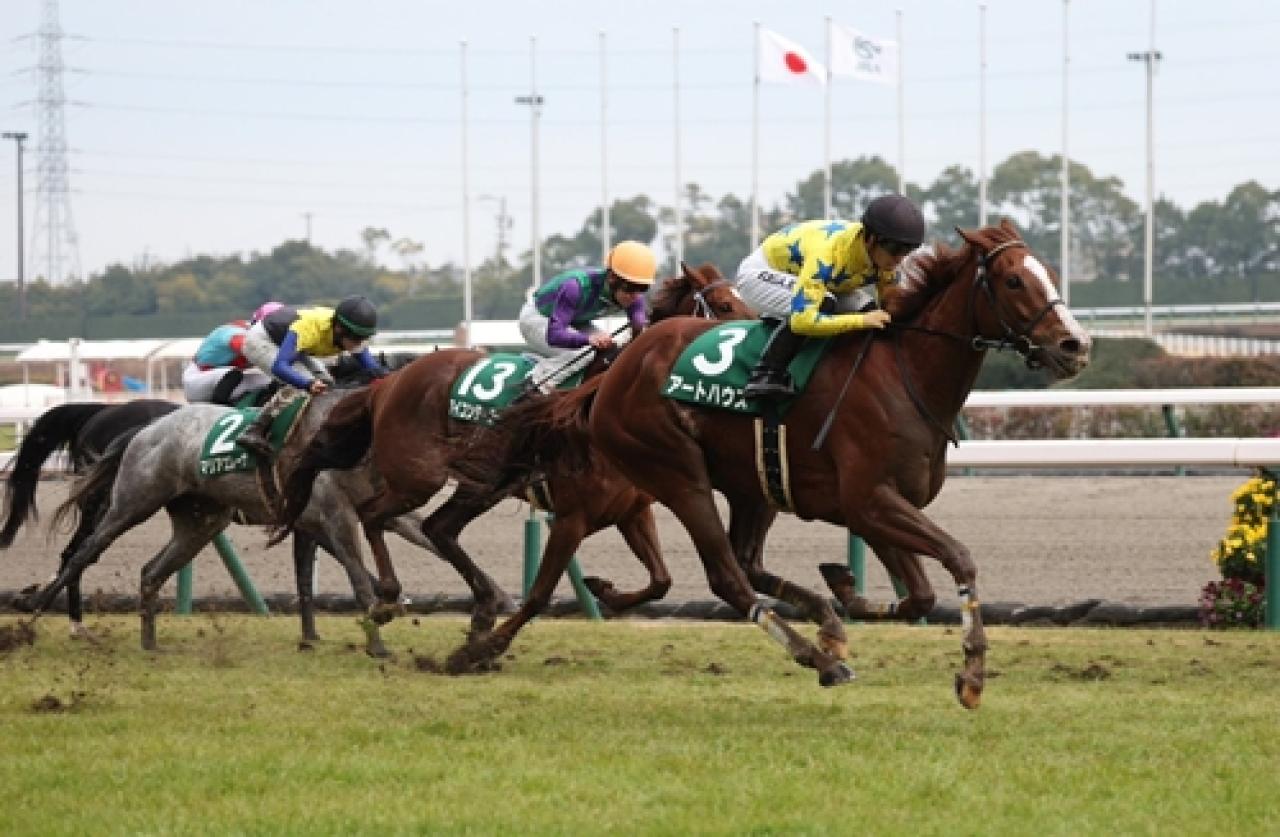 Victoire Pisa’nın kısrak babası olduğu Art House’dan Grup koşu galibiyeti