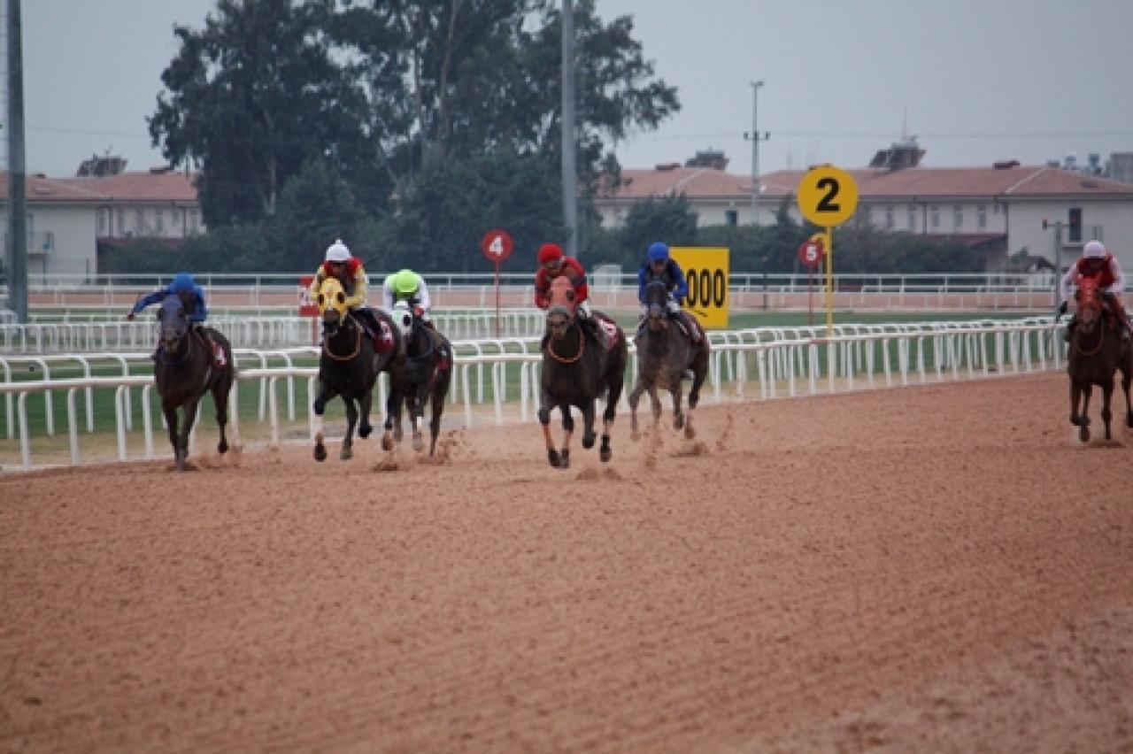 Ali Karabucak Koşusu’nda kazanan Yennefer oldu