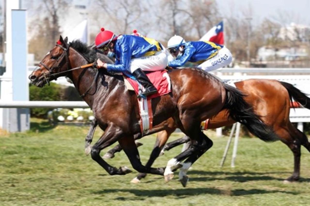16 Ocak Pazartesi Şili Club Hipico yarış programı ve erken bahis oranları belli oldu