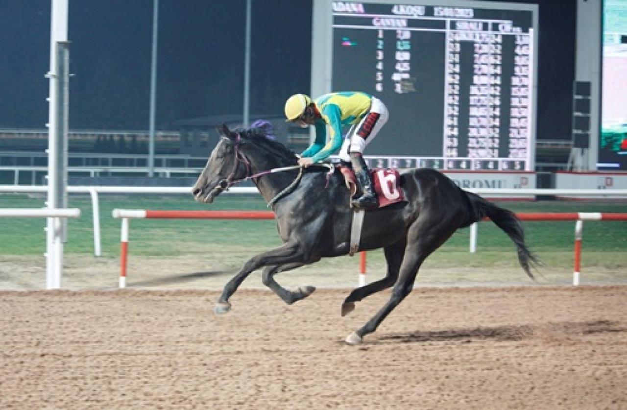 Halis Kökbudak Koşusu’nu Zolo Muum kazandı