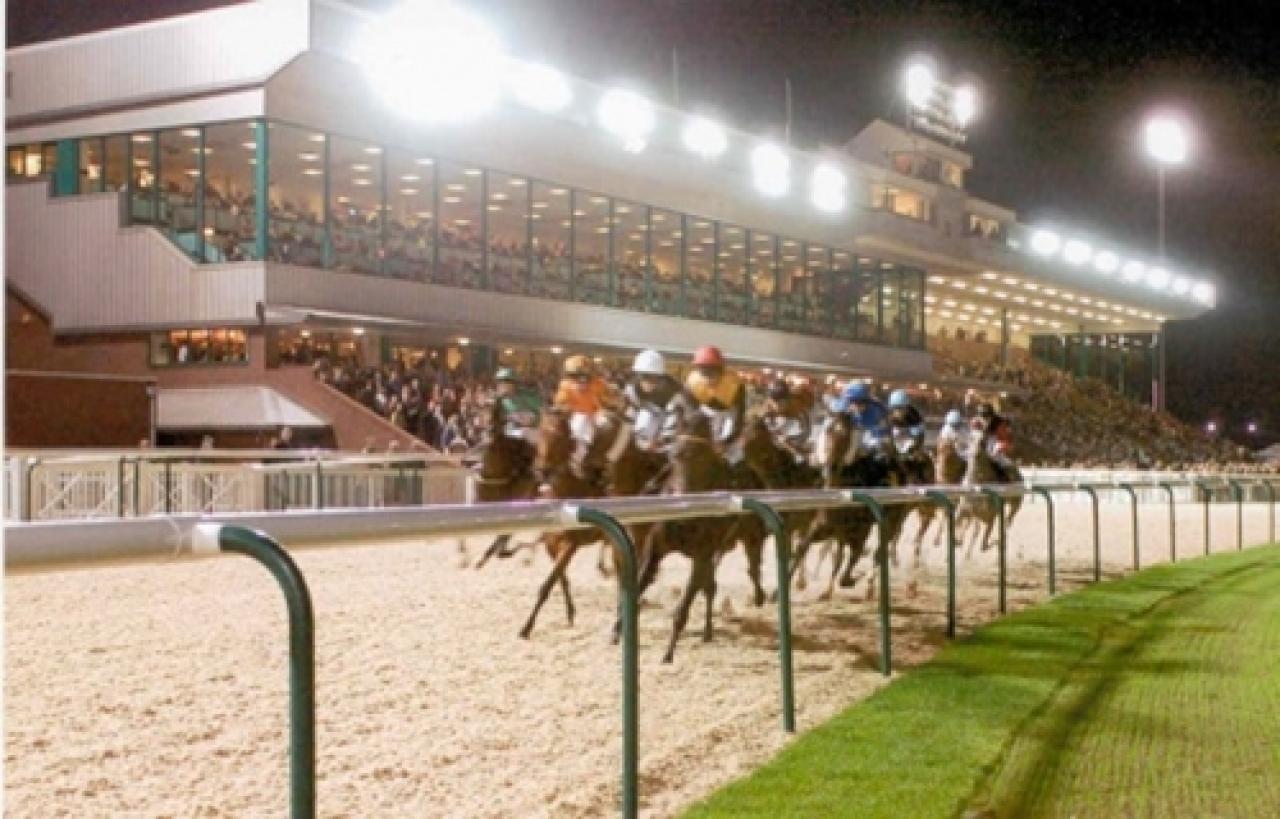 19 Ocak Perşembe Güney Afrika Vaal yarış programı ve erken bahis oranları belli oldu