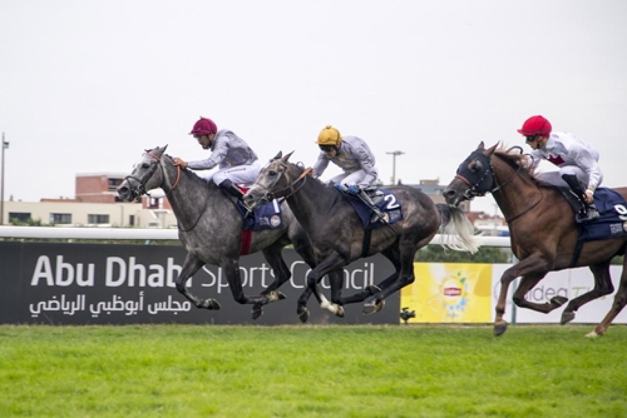 19 Ocak Perşembe Abu Dhabi yarış programı ve erken bahis oranları belli oldu