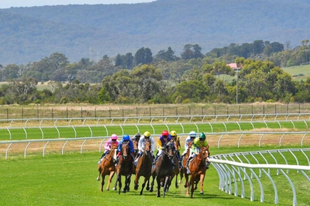 19 Ocak Perşembe Pakenham yarış programı ve erken bahis oranları belli oldu