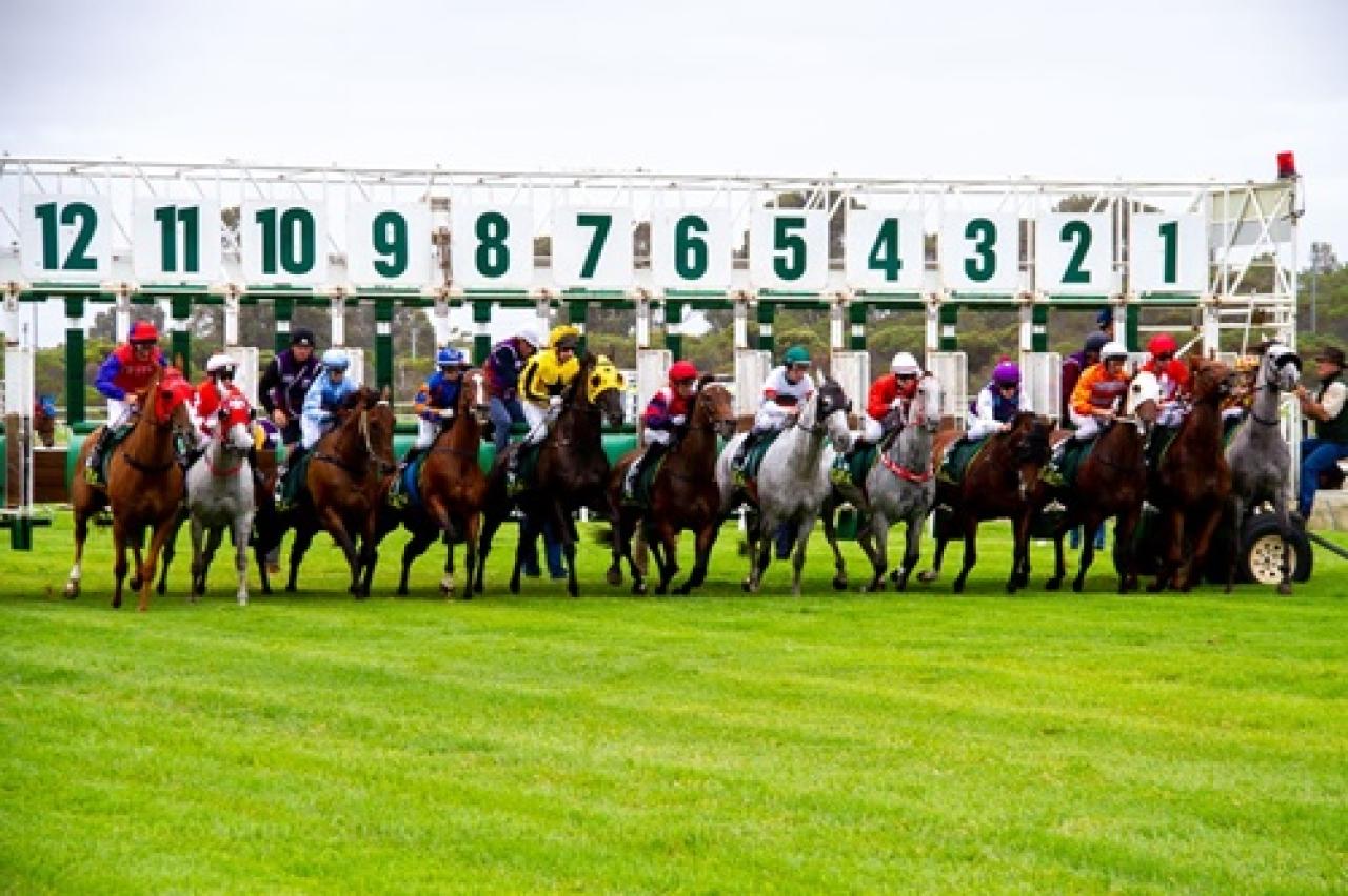 20 Ocak Cuma Esperance yarış programı ve erken bahis oranları belli oldu