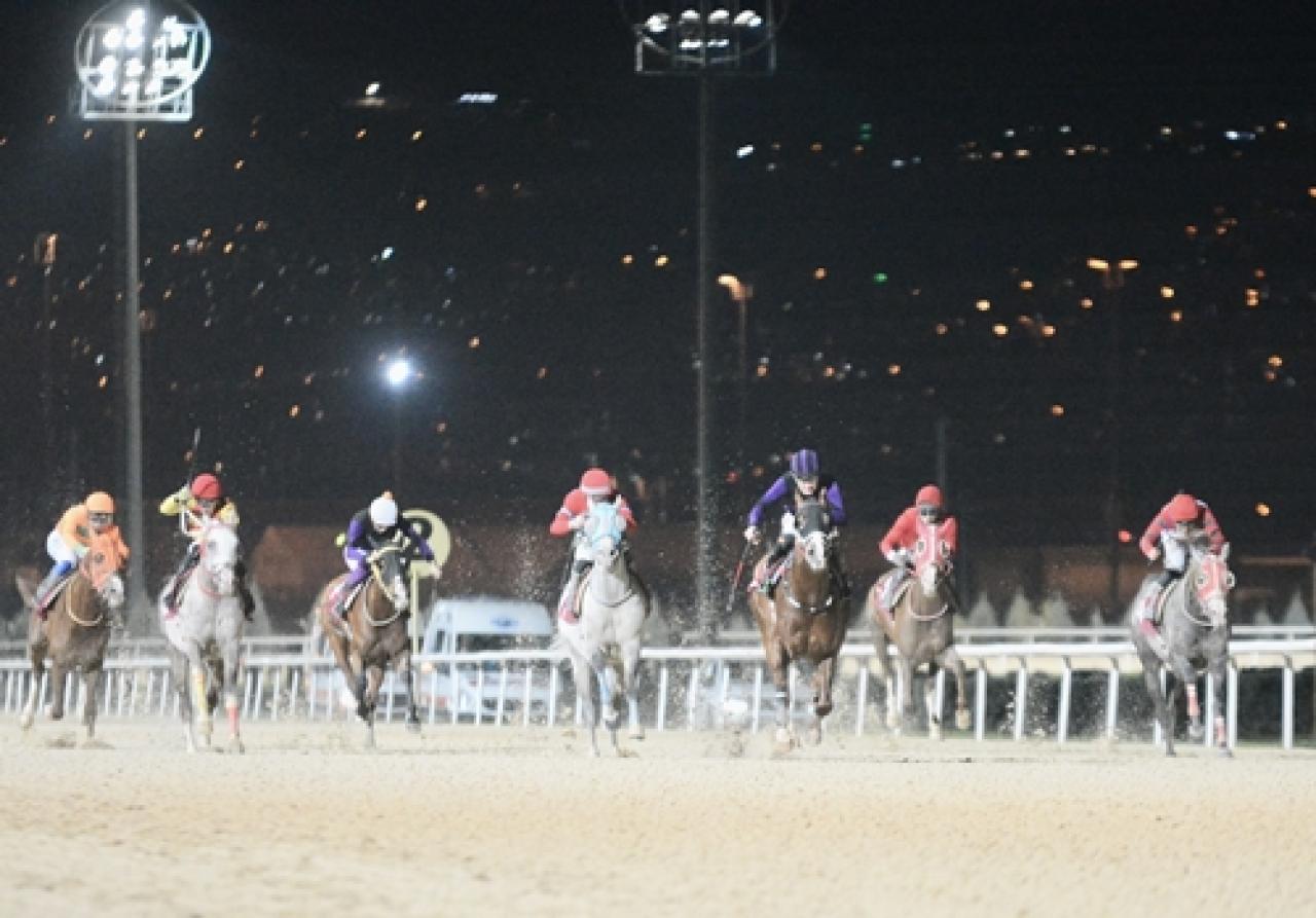 Sapanca Belediye Başkanlığı Koşusu'nu Kudretlitay kazandı