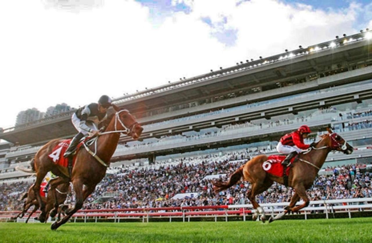 21 Ocak Cumartesi Sha Tin yarış programı ve erken bahis oranları belli oldu