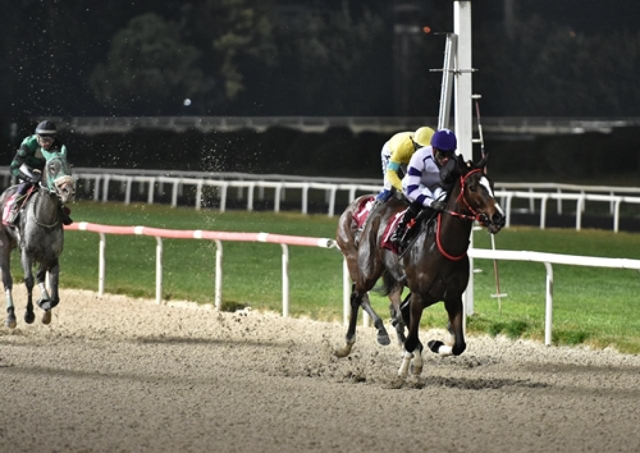 Hüseyin Özsakallı Koşusu'nu Black Phantom kazandı