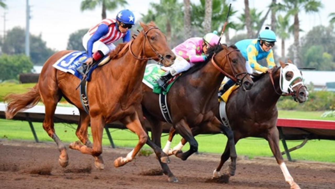 22 Ocak Pazar Almanya Dortmund yarış programı ve erken bahis oranları belli oldu