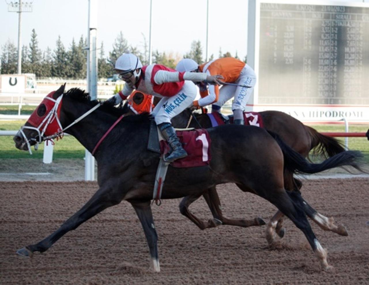 Tema Vakfı Koşusu'nu Altınsima kazandı